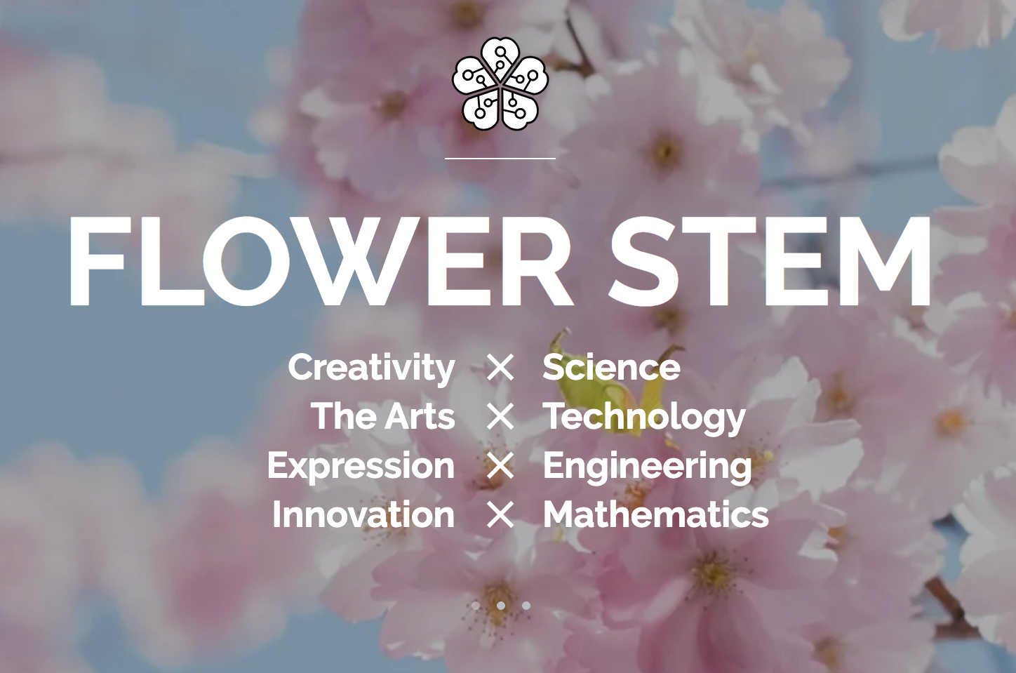 FlowerSTEM graphic